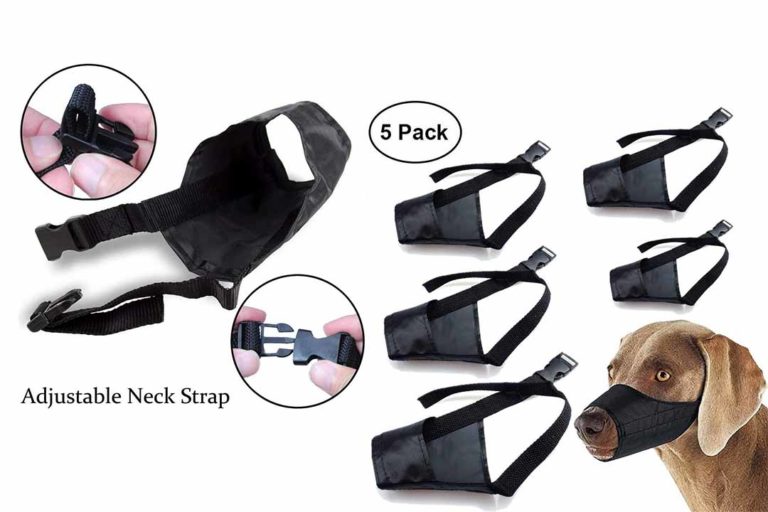 Top 10 Best Dog Muzzles to Prevent Biting of 2024 Review Best Pet Pro