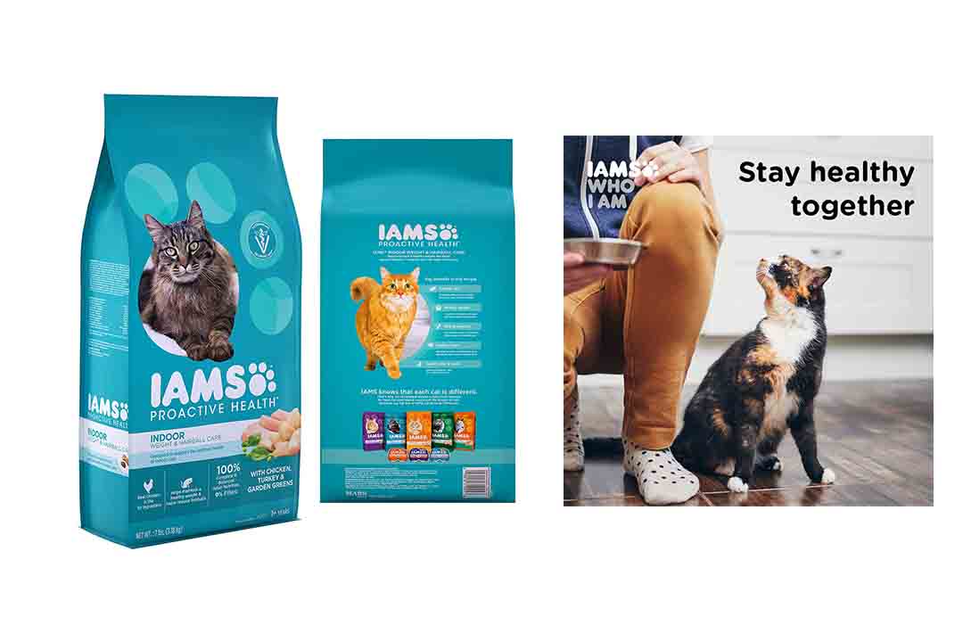 Top 10 Best Vet Recommended Dry Cat Food of 2020 Review ...