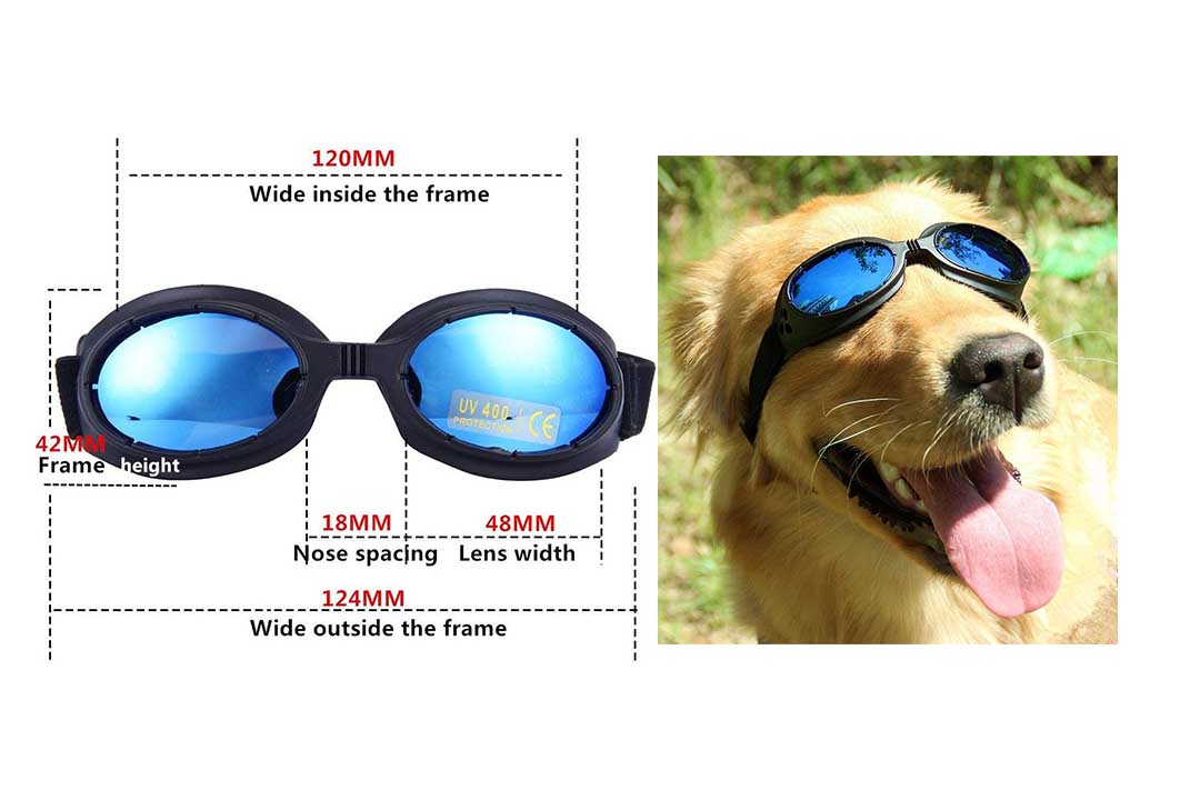 Mihachi Anti-Fog Dog Sunglasses