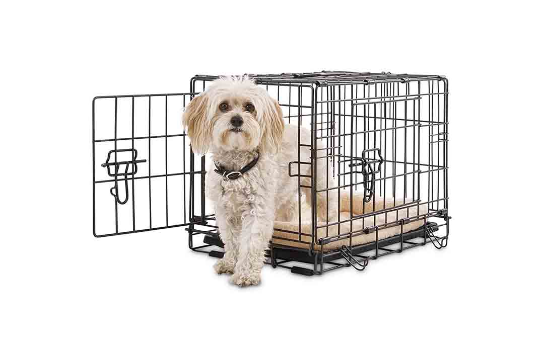 Petco Premium 2-Door Dog Crates