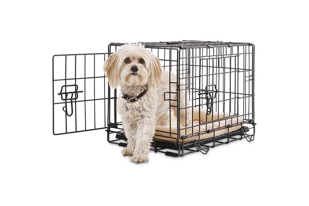 petco xl dog crate