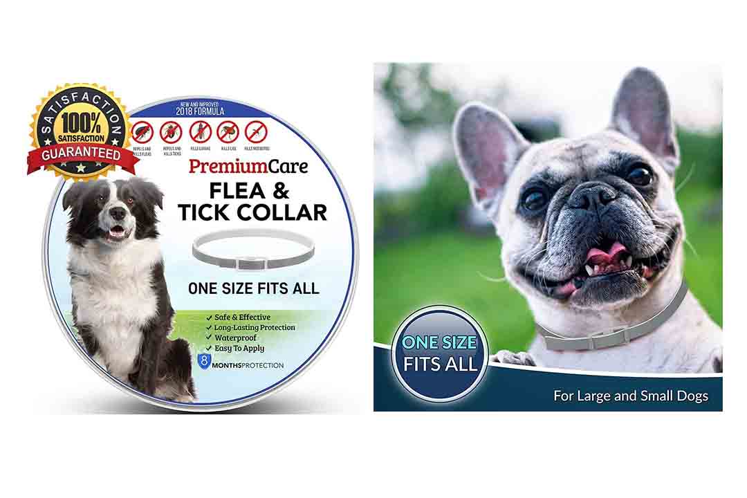 Premium Flea and Tick Collar for Dogs