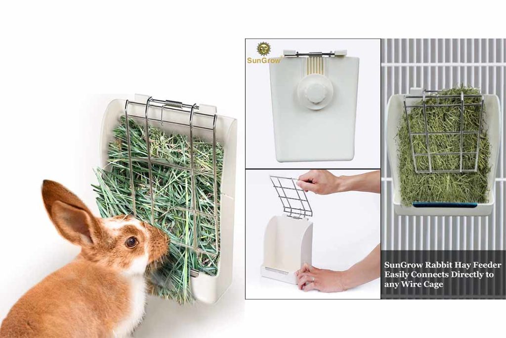 Top 10 Best Rabbit Feeders for Cages of 2024 Review – Best Pet Pro