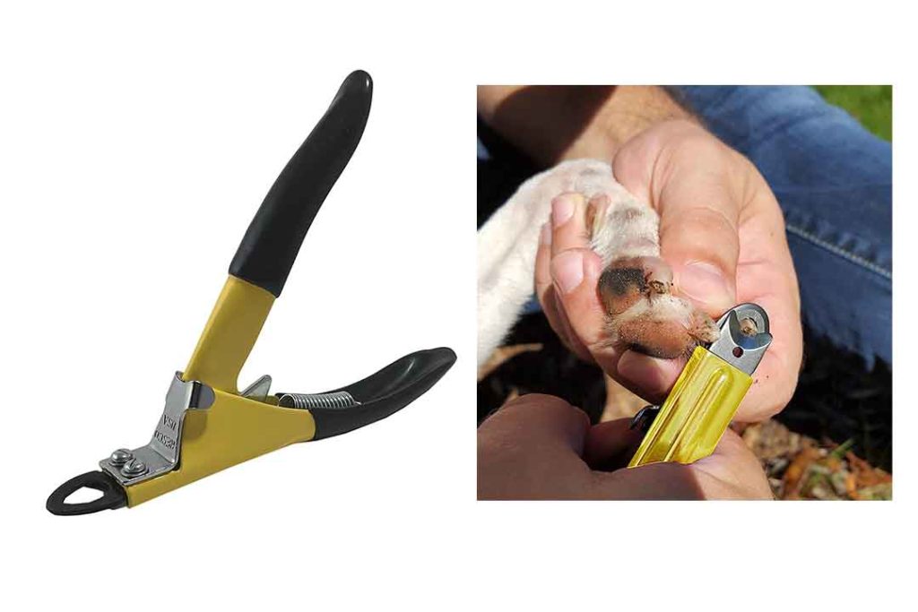 Top 10 Best Nail Clippers for Large Dogs of 2022 Review Best Pet Pro