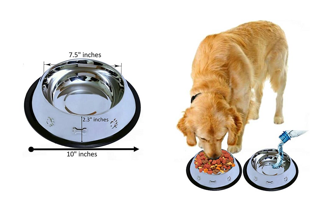 The 10 Best Stainless Steel Dog Bowls of 2023 Review – Best Pet Pro