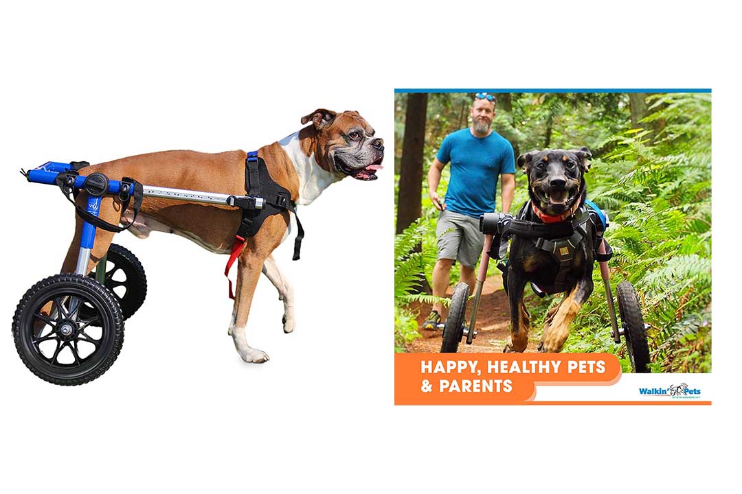 Walkin' Wheels Dog Wheelchair - for Large Dogs