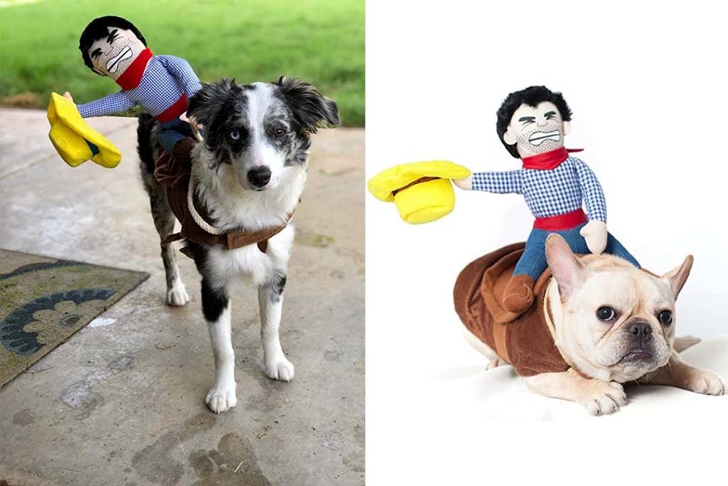 Top 10 Funniest Dog Costume of 2022 Review Best Pet Pro