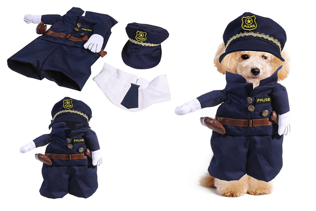 Top 10 Funniest Dog Costume of 2022 Review Best Pet Pro