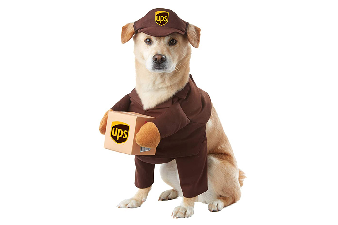Brown_UPS PAL Dog Costume