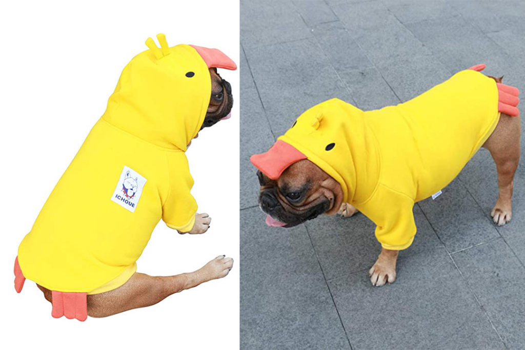 Top 10 Funniest Dog Costume of 2022 Review Best Pet Pro