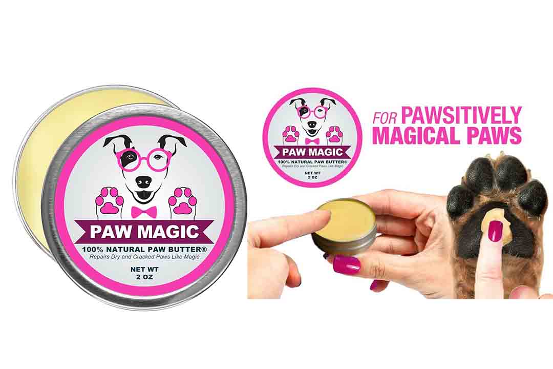 Paw Magic