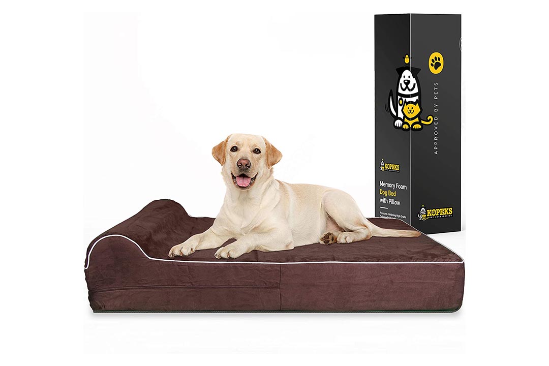 7-inch Thick High-Grade Orthopedic Memory Foam Dog Bed
