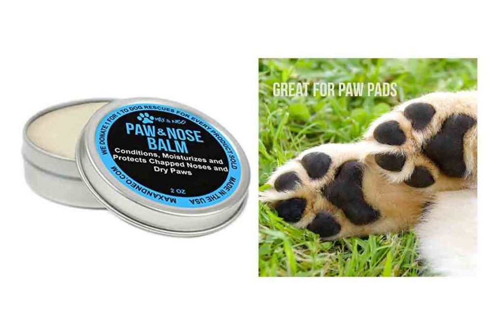 Top 10 Best Paw Balm for Dogs of 2023 Review Best Pet Pro