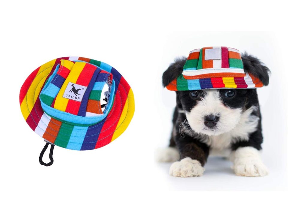 Top 10 Best Hats for Dogs of 2024 Review Best Pet Pro