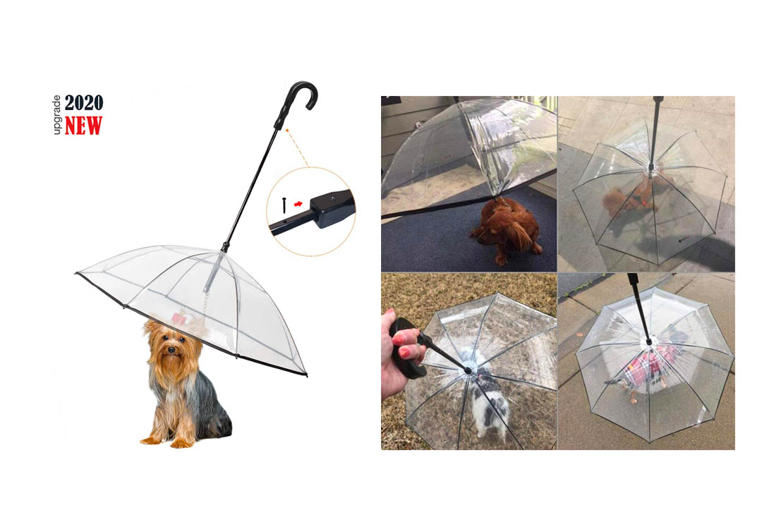 Enjoying Pet Umbrella Dog Umbrella with Leash Rain