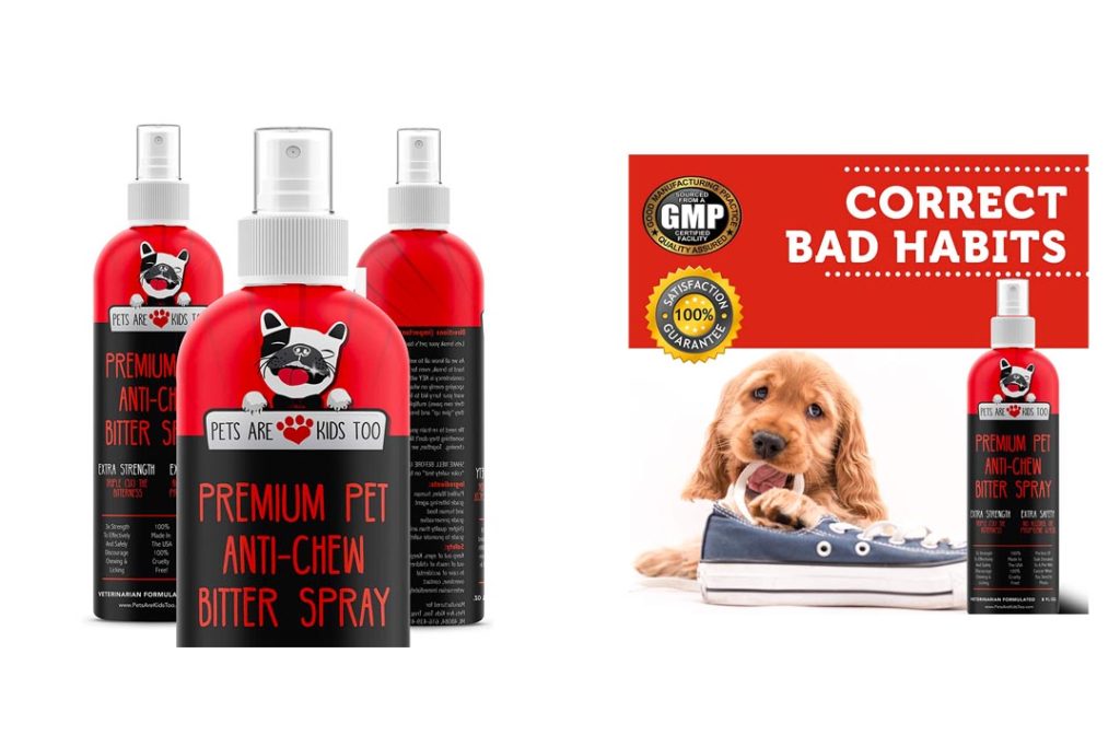 Top 10 Best AntiChew Spray for Dogs of 2022 Review Best Pet Pro