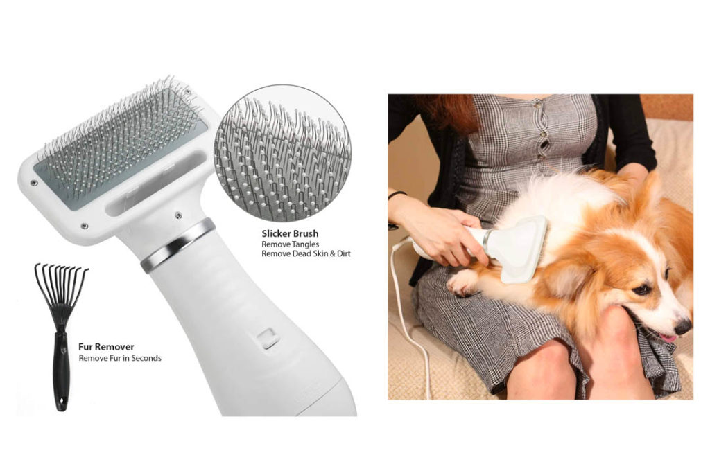Top 10 Best Dog Grooming Dryers of 2024 Review Best Pet Pro