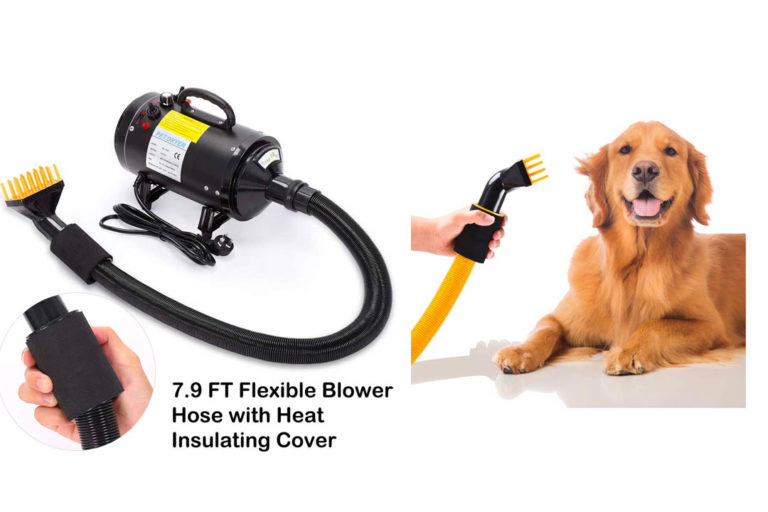 Top 10 Best Dog Grooming Dryers of 2024 Review Best Pet Pro