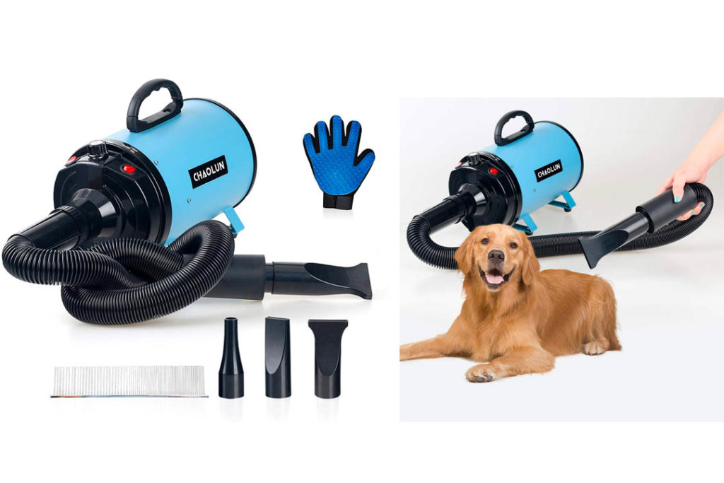 Top 10 Best Dog Grooming Dryers of 2024 Review Best Pet Pro