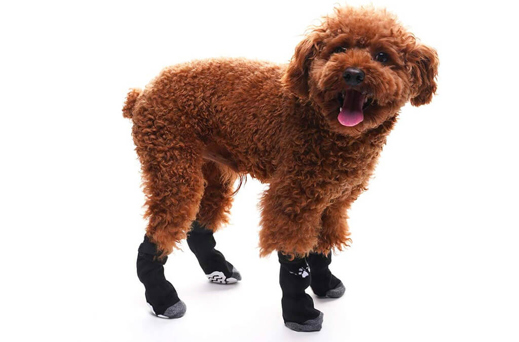 2. BINGPET Anti Slip Dog Socks