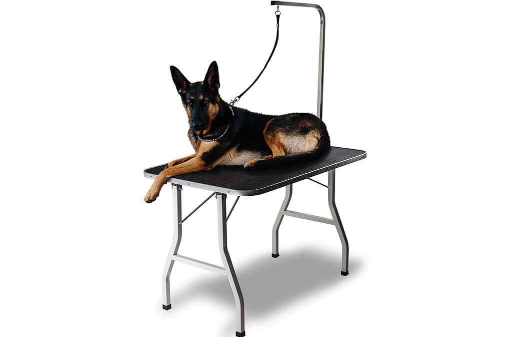 6. Grooming Table for Dogs