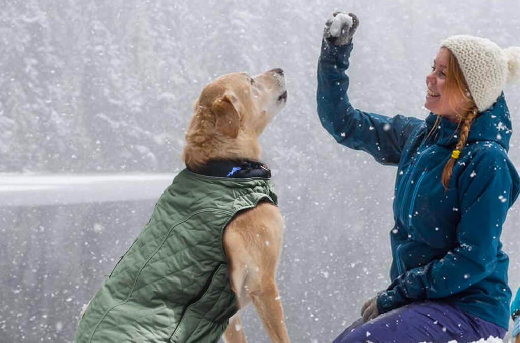 Top 10 Best Dog Winter Coats of 2023 Review