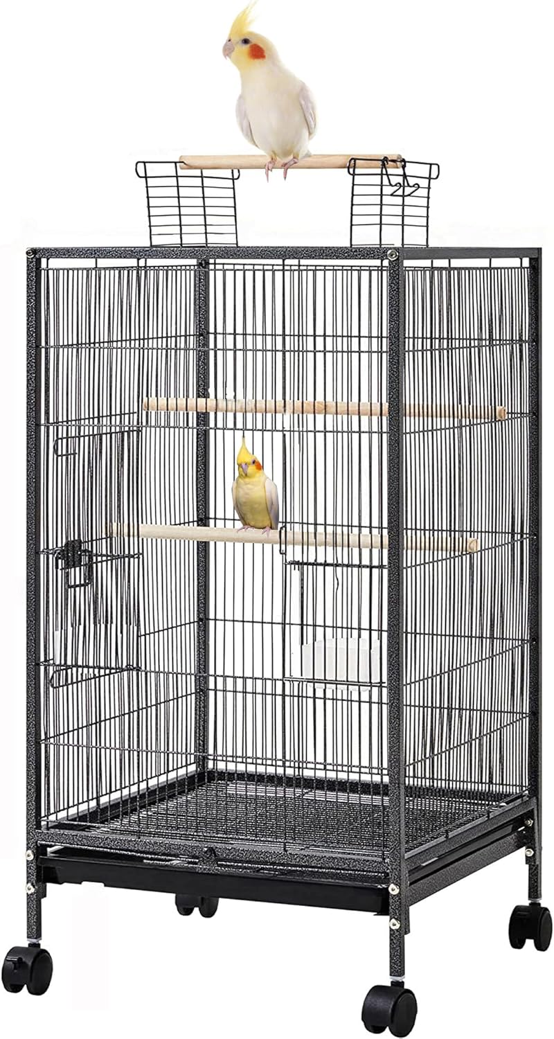 36-Inch Deluxe Sturdy Wrought Iron Bird Flight Open Play Top Cage with Rolling Stand for Parrots Conure Lovebird Cockatiel