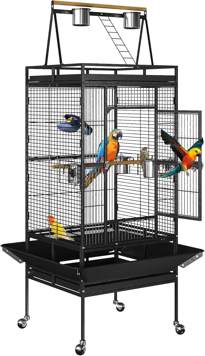 Nova Microdermabrasion 68-Inch Height Wrought Iron Standing Large Play Top Bird Cage for African Grey Small Quaker Parrot Cockatiel Sun Parakeet Green Cheek Conure Dove Budgie Lovebird